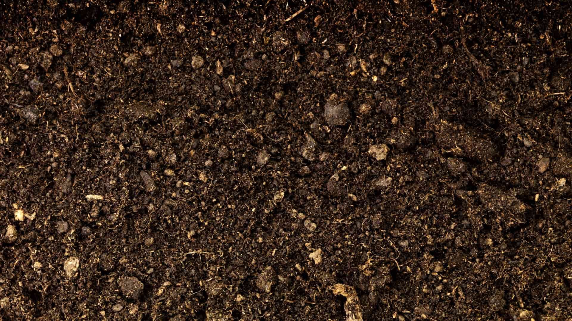 Background Banner Image