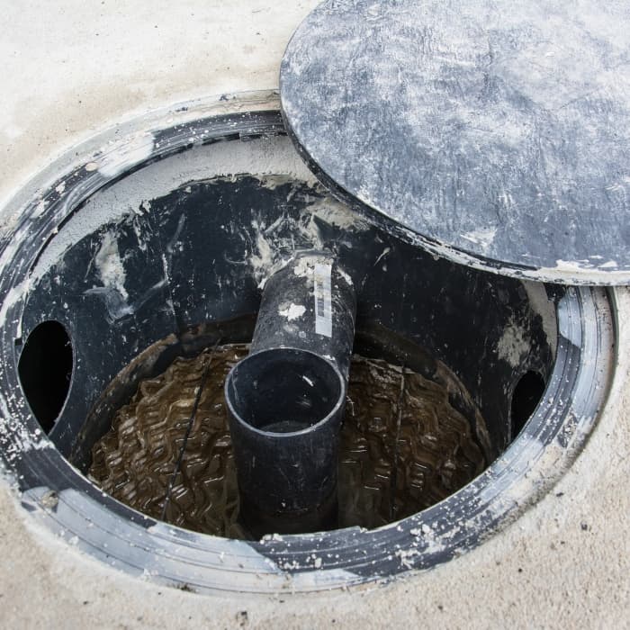 Trustworthy Background